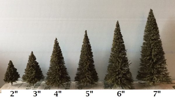 Trees in Various Sizes