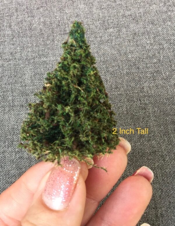 Miniature trees - 2" tall trees. Made in the USA at MrTrain.com.